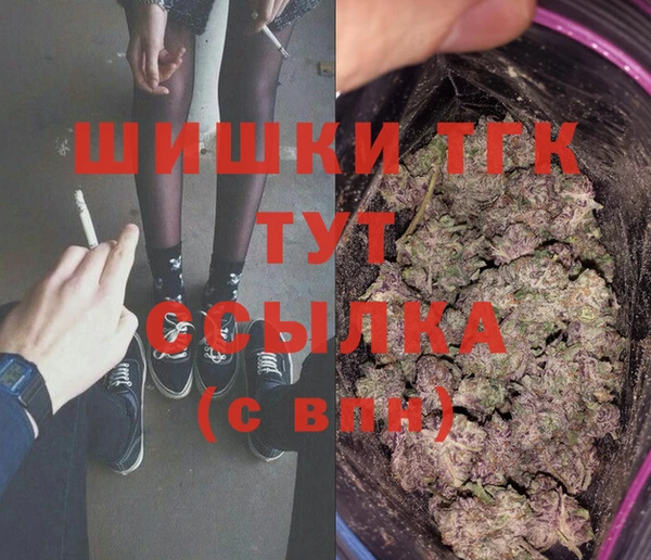 шишки Медвежьегорск