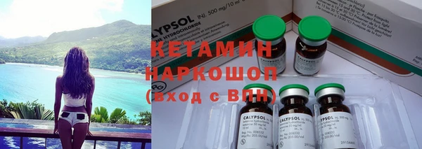 шишки Медвежьегорск
