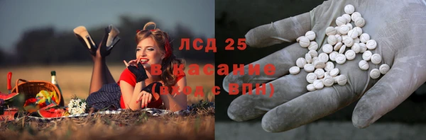 шишки Медвежьегорск