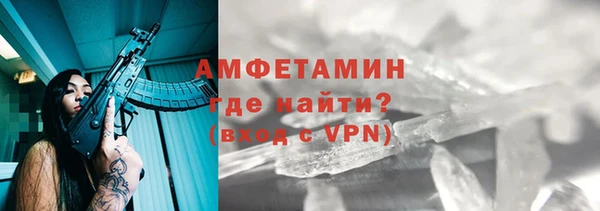 шишки Медвежьегорск