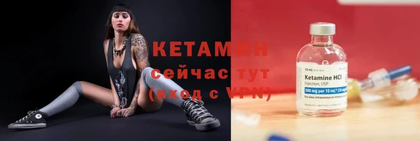 шишки Медвежьегорск