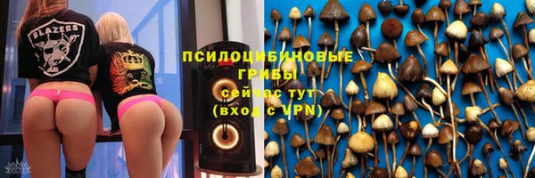 таблы Медногорск