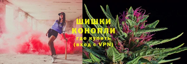 шишки Медвежьегорск